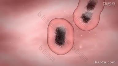 粉红色背景上有小颗粒的<strong>细胞</strong>增殖过程